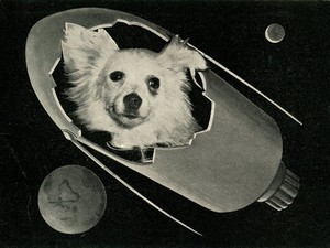  Soviet luar angkasa Dogs: Kozyavka