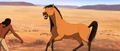 Spirit: Stallion of the Cimarron (2002) - spirit-stallion-of-the-cimarron photo