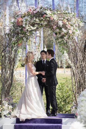  TVD 8x15 We re Planning a June Wedding Promotional foto