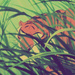 jungle book  - fred-and-hermie icon