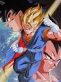  Son Goku and Vegeta - san - dragon-ball-z photo