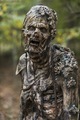 7x15 ~ Something They Need ~ Walkers - the-walking-dead photo