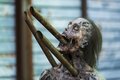 7x16 ~ The First Day of the Rest of Your Lives ~ Walker - the-walking-dead photo