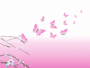  Butterfly,Wallpaper