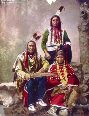  Chief Little Wound and family (Oglala Lakota) 1899 의해 Heyn 사진