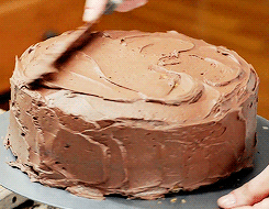  초콜릿 cake