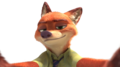 Cool-looking fox :) - random photo