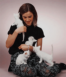 Emma playing with some adorable kittens