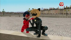 Ladybug and Chat Noir - Animan