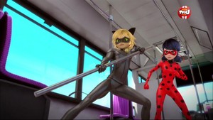 Ladybug and Chat Noir - Animan