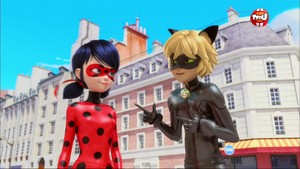  Ladybug and Chat Noir - Animan