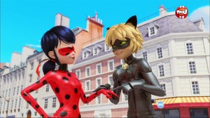  Ladybug and Chat Noir - Animan