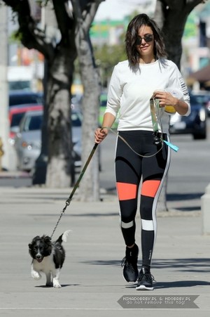  Nina Dobrev takes Maverick for a walk in West Hollywood