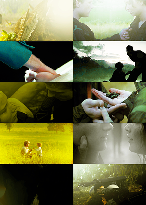  Peeta/Katniss Fanart - The Dandelion In The Spring