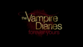 The Vampire Diaries: Forever Yours - the-vampire-diaries-tv-show photo