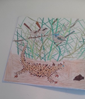  Thorny Devil and Blue Wrens