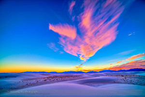  White Sands, New Mexico