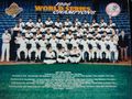 World Series Champions - the-90s photo