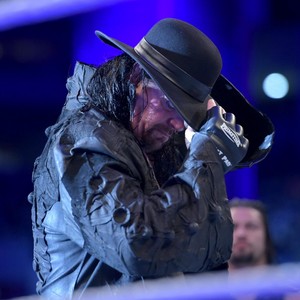  Wrestlemania 33: Roman Reigns vs. The Undertaker