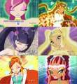is  1  - the-winx-club photo