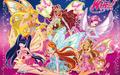 winx club widescreen wallpapers 062613301 - the-winx-club photo
