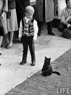  Cat On A Leash