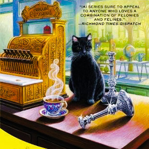 A Second Chance Cat Mystery