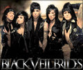 Black Veil Brides - andy-sixx photo