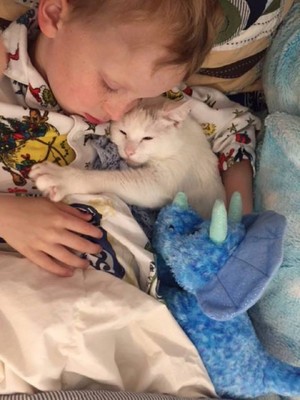 Little Boy And His Kitty