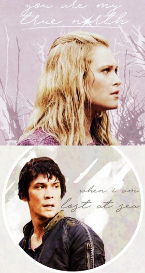  Clarke and Bellamy
