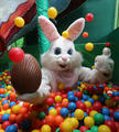 Easter Bunny F - random photo