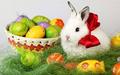 Easter Bunny D - random photo