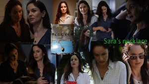  Prison Break Season 5 - Sara's collar