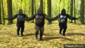 The Dancing Gorillas - random photo