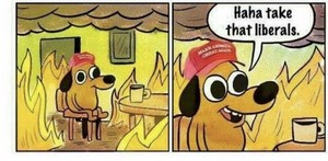  Trump supporters rn