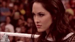  美国职业摔跤 Brie Bella