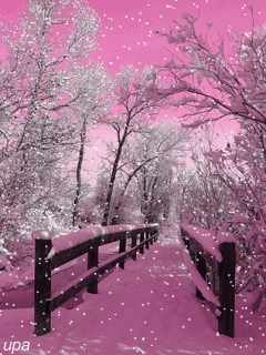  Beautiful Snowy Eve