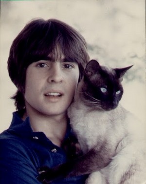  Davy Jones And His Cat