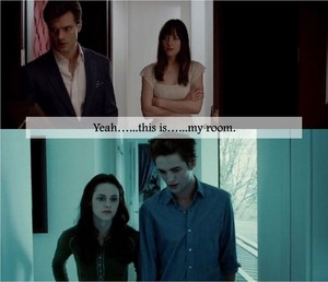  Fifty Shades and Twilight