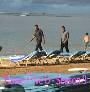  Hawaii Five-0 - Season 8