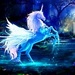 Magical - unicorns icon