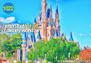  Simple Disney Things ✔️