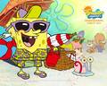 spongebob-squarepants - Spongebob and Gary wallpaper wallpaper