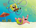 spongebob-squarepants - Spongebob and Patrick wallpaper wallpaper