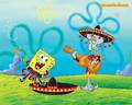 spongebob-squarepants - Spongebob and Squidward wallpaper wallpaper