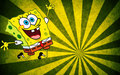 Spongebob wallpaper - spongebob-squarepants wallpaper