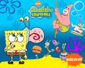spongebob-squarepants - Spongebpob Squarepants wallpaper wallpaper