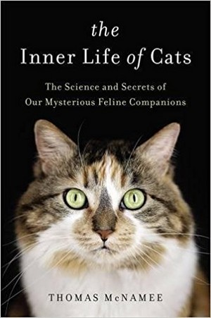  The Inner Life Of kucing