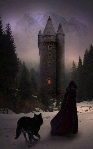  kasteel vampire