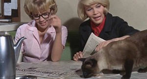  1965 Film, That Darn Cat